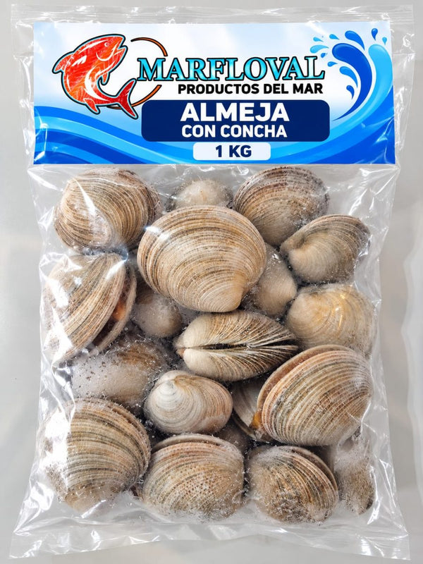 Almeja Concha 1 kg