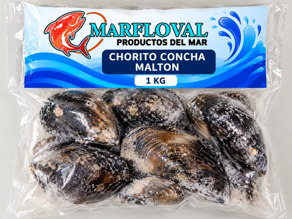 Chorito Malton Concha 1 kg