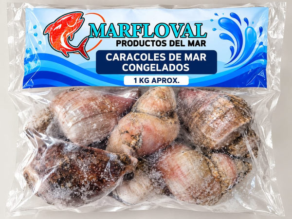 Caracoles de Mar 1 kg aprox